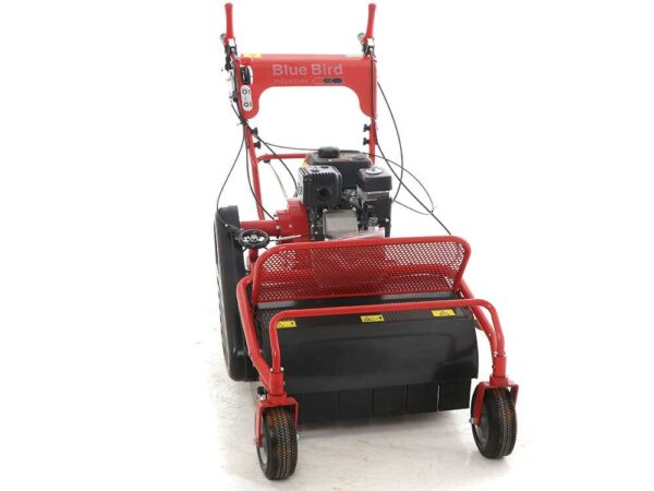 Blue Bird FM600 - Trinciaerba professionale a martelli - Loncin LC175F-2