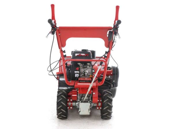 Blue Bird FM600 - Trinciaerba professionale a martelli - Loncin LC175F-2