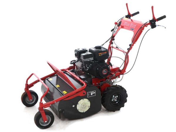 Blue Bird FM600 - Trinciaerba professionale a martelli - Loncin LC175F-2