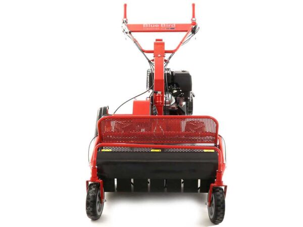 Blue Bird SG0813 - Trinciaerba professionale a martelli - Loncin G390F