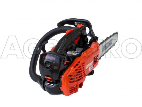 Echo CS 2511 TES - Motosega a scoppio da potatura - Lama da 25cm
