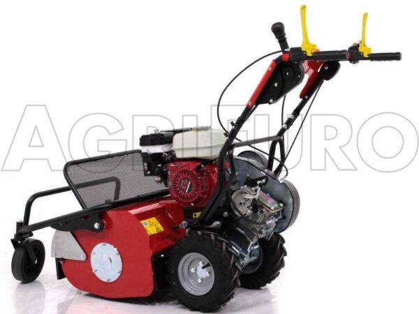 Ginko-MGM TT 680 - Trinciaerba professionale a martelli - Honda GX200